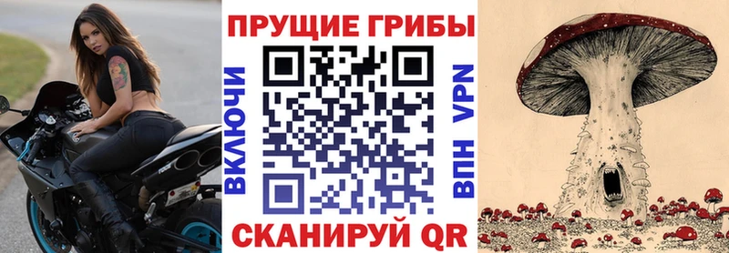 наркота  Томск  Галлюциногенные грибы прущие грибы 