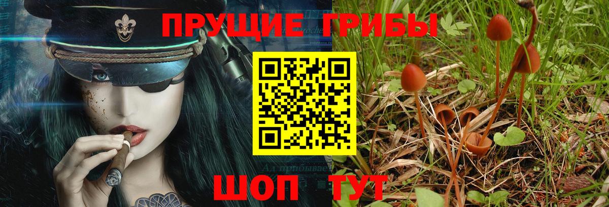 Псилоцибиновые грибы GOLDEN TEACHER Томск